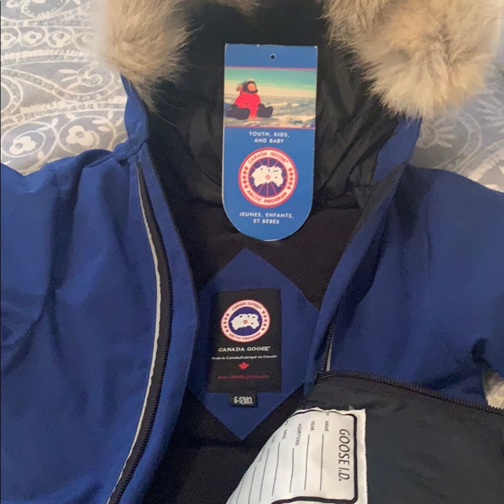 Canada goose